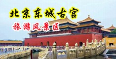 精品扣逼暗网中国北京-东城古宫旅游风景区